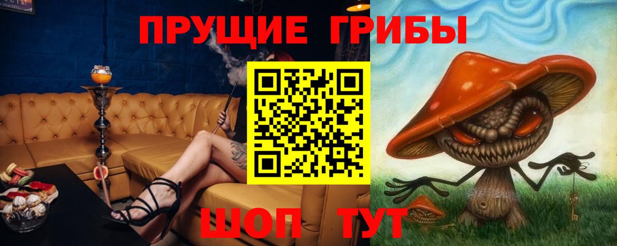 Псилоцибиновые грибы Psilocybine cubensis Куйбышев